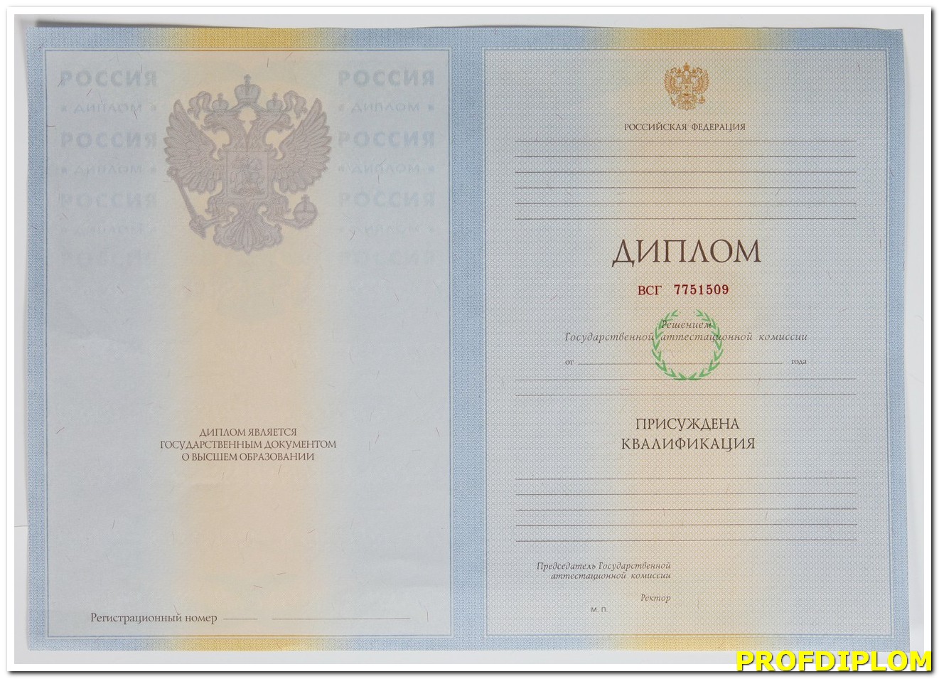 Диплом магистра 2009-2011