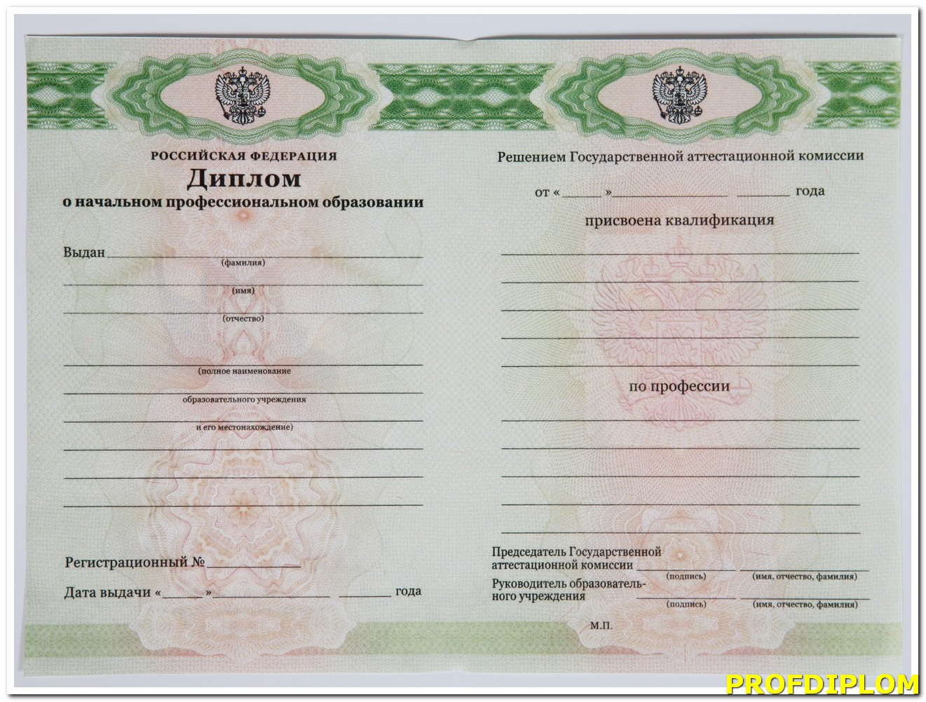 Диплом лицея 2011