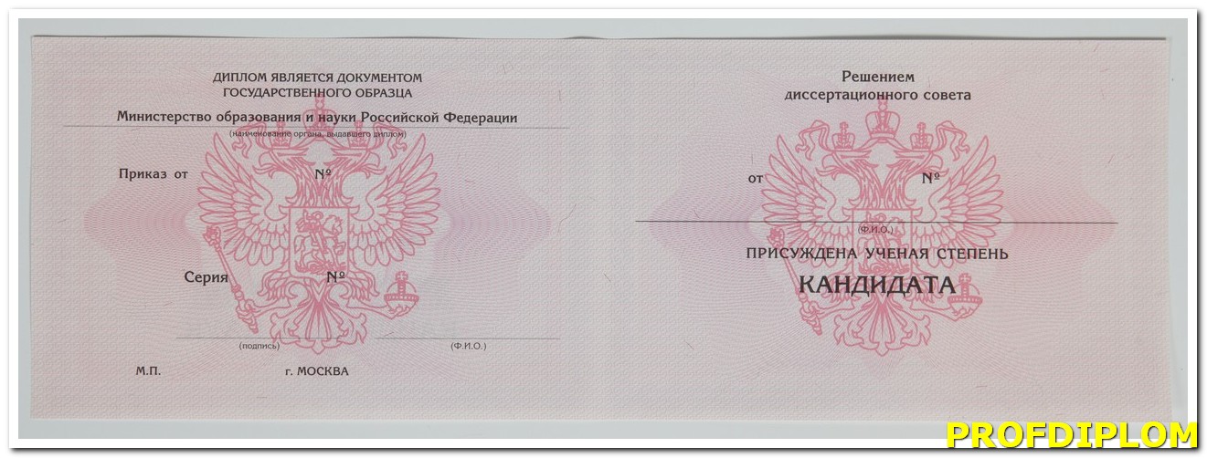 Диплом кандидат наук 2006